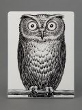 owl book ends
