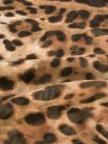 leopard print scarf