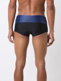 panelled swimming trunks