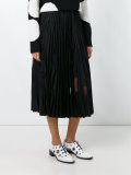 sheer pleated skirt