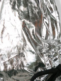 metallic drawstring shorts