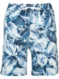 Banana leaf Charles trunks 7