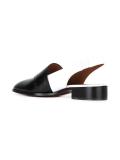 Candida mules