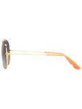 large Classic Aviator sunglasses