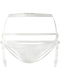 suspender belt briefs