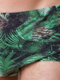 foliage print swim trunks