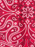 'Kerchief'长款上衣
