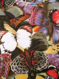 'Camubutterfly'T恤