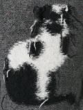 猫咪图案毛衣