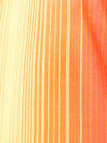 striped gauze sleeveless T-shirt