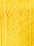 lace flared dress