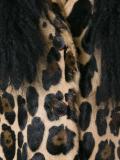 leopard print jacket 