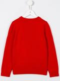 beetle and Web intarsia jumper
