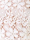 sheer inset lace dress