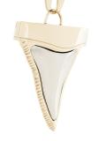Shark Tooth choker necklace