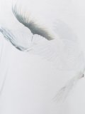 'Foil'坦克背心
