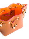 mini Remy crossbody bag