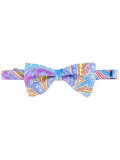 paisley print bow tie