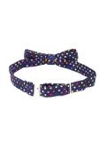 polka dot bow tie 