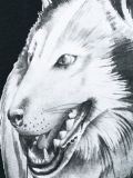 'Othelo Wolf'印花T恤