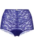 lace high cut briefs