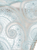 lace briefs 