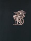 lion long sleeved T-shirt