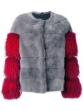 collarless zipped jacket