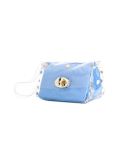 mini transparent clutch 
