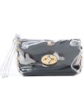 mini transparent clutch 