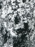 printed body