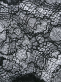lace trim scarf 