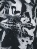 animal print T-shirt
