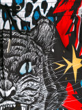 tiger swim shorts