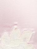 lace trim French knickers