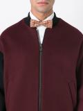 printed bow tie 