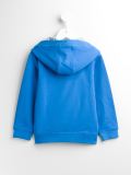 eagle print hoodie