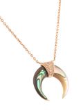 'Mini Abalone Double Horne'项链