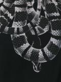 Leonard T-shirt