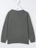 frog intarsia jumper