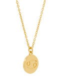 'Zodiac Cancer Biography' pendant