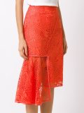 panelled lace skirt