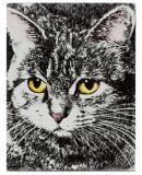 猫图插画印花书挡