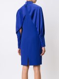 bishop sleeves dress