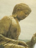 Buddha围巾