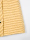 striped a-line skirt