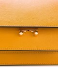 small Trunk shoulder bag