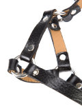 5" harness belt