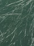 'Faliero Sarti pour L'Eclaireur'围巾
