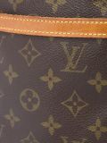 'Danu' monogrammed crossbody bag